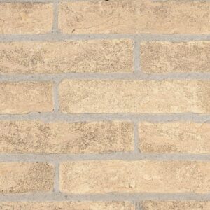 Terrae Giallo Paglierino, cărămidă aparentă (placare)