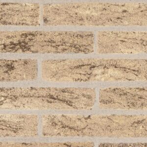 Terrae Padane Padane Giallo, cărămidă aparentă (placare)